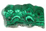 Polished Malachite Slab - DR Congo #266800-1